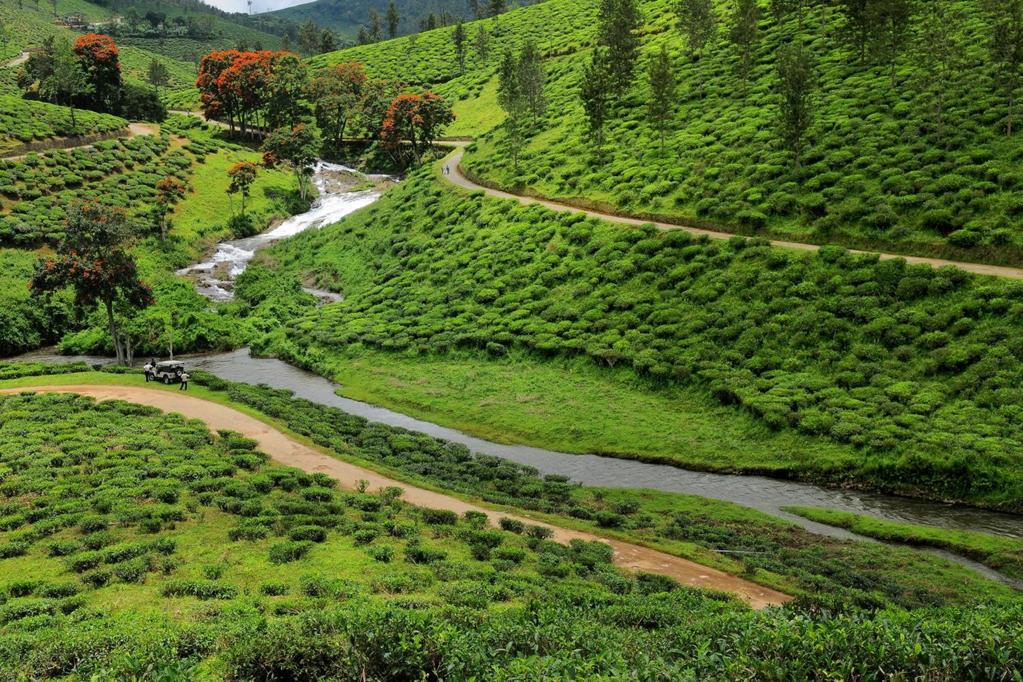 Spicegreen Homestay,Thekkady Dış mekan fotoğraf