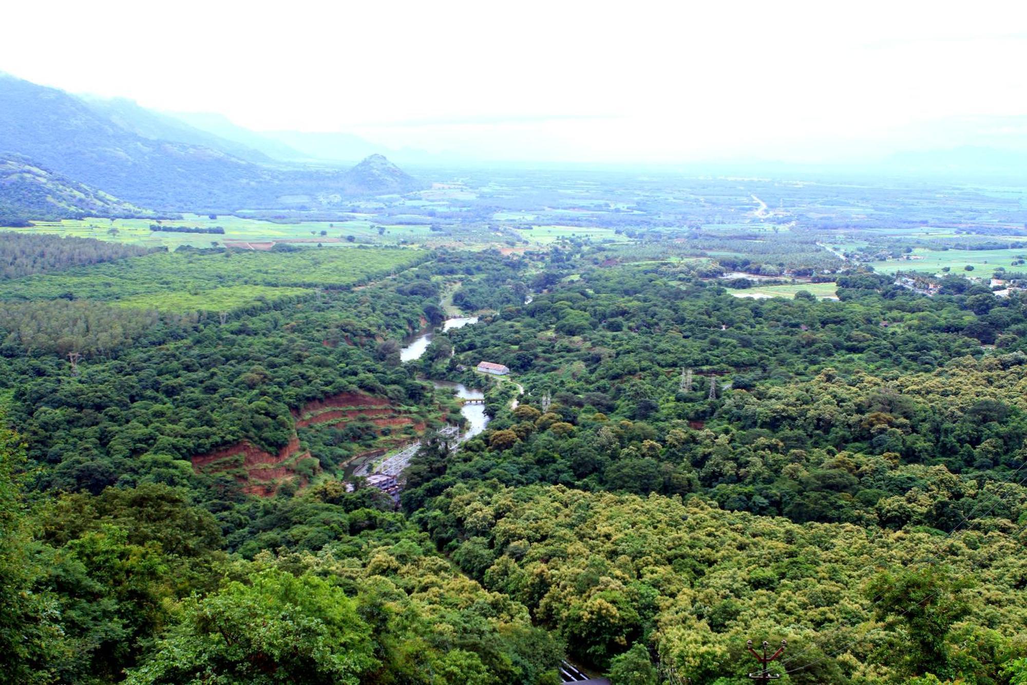 Spicegreen Homestay,Thekkady Dış mekan fotoğraf