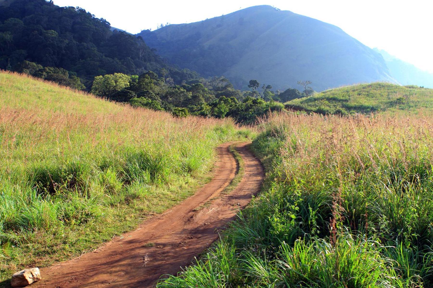 Spicegreen Homestay,Thekkady Dış mekan fotoğraf