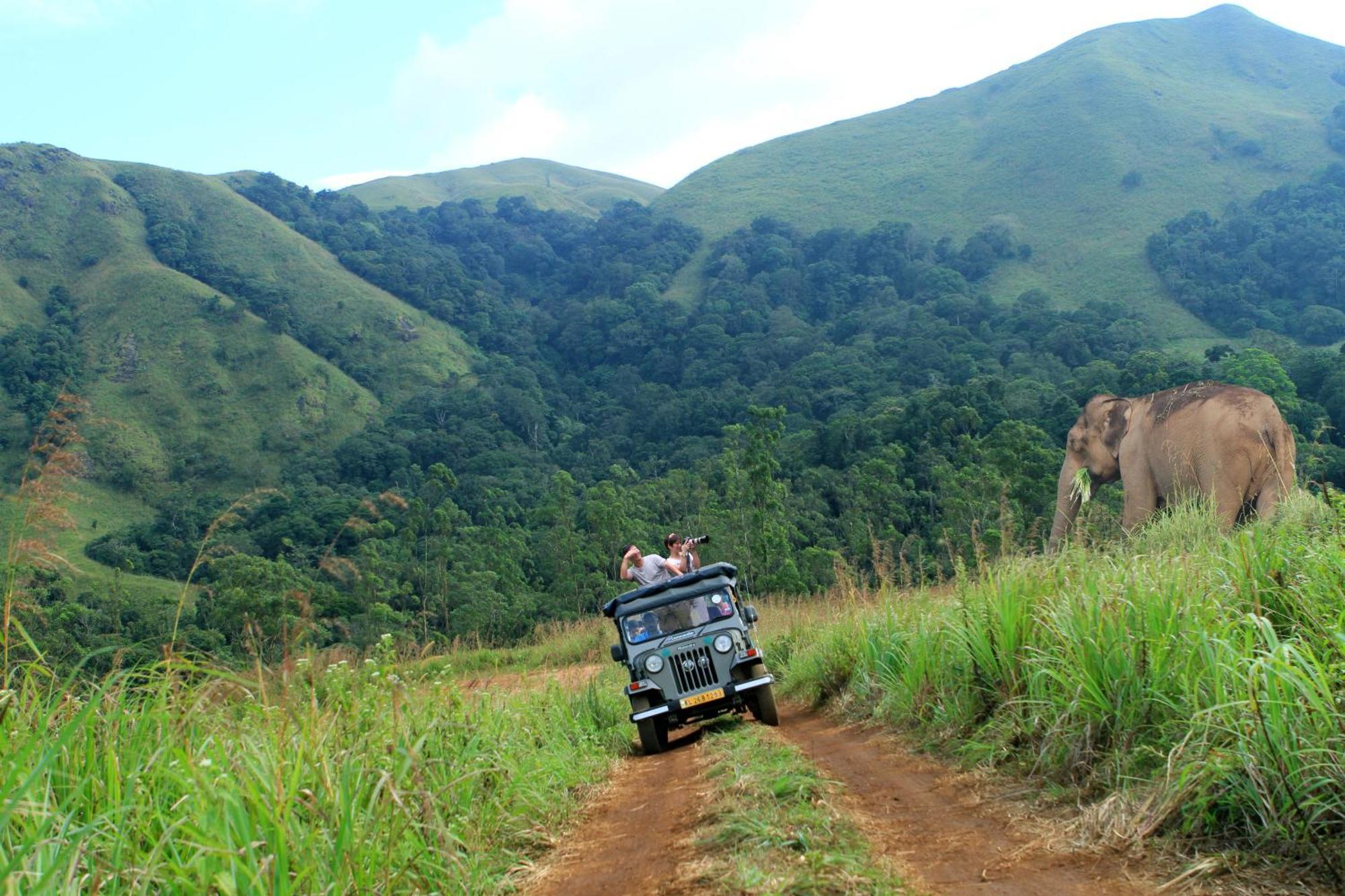 Spicegreen Homestay,Thekkady Dış mekan fotoğraf